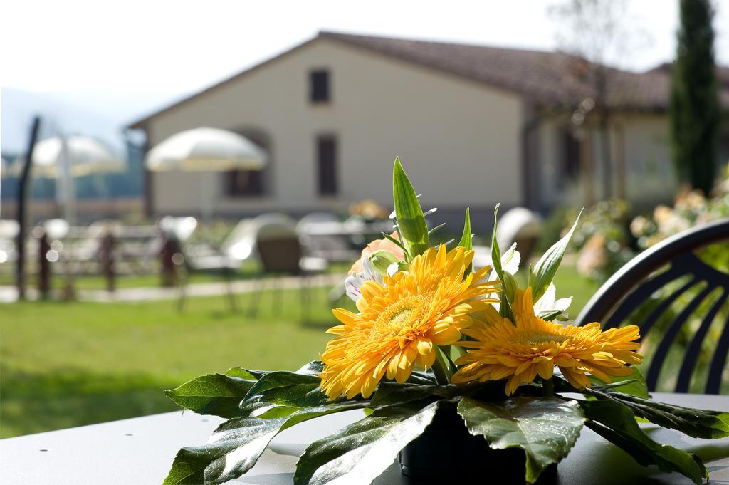 Agriturismo Le Rondini Di Francesco Di Assisi Cannara Zewnętrze zdjęcie