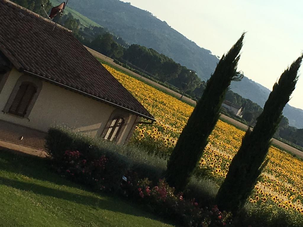 Agriturismo Le Rondini Di Francesco Di Assisi Cannara Zewnętrze zdjęcie