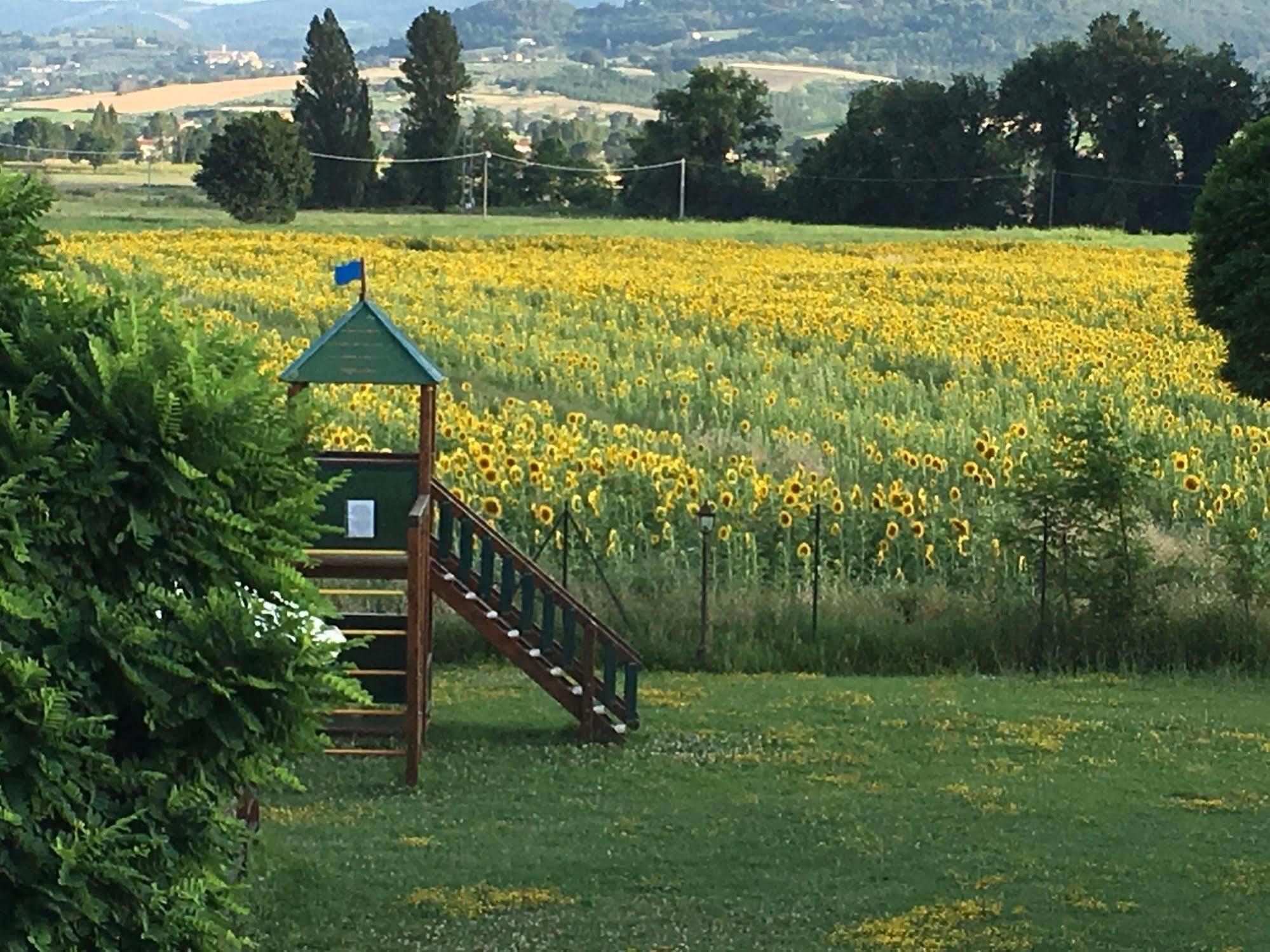 Agriturismo Le Rondini Di Francesco Di Assisi Cannara Zewnętrze zdjęcie